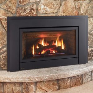 Regency Energy E33 ™ <br />Large Gas Insert