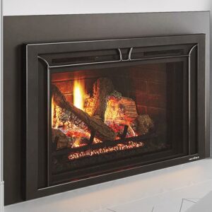 Heat & Glo Escape Gas Insert