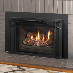 Regency Liberty® LRI4E Medium Gas Insert<br /><font color=”RED”> ON DISPLAY IN OUR STORE</font>