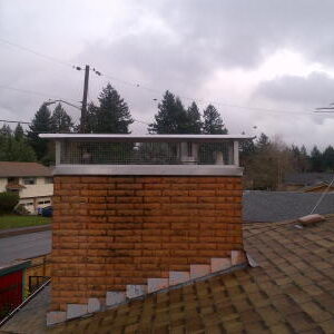 Chimney caps