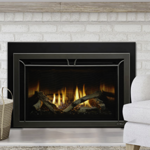 Heat & Glo Cosmo <br /> Gas Insert  35