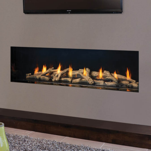 Regency® City Series™ New York View 60 Gas Fireplace