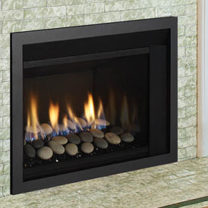 Regency Horizon® HRI3E Small Gas Insert