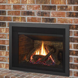 Regency Liberty® LRI3E Medium Gas Insert